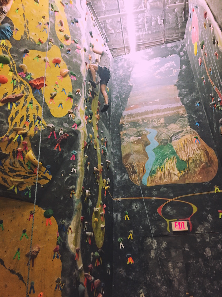 Tempe 4