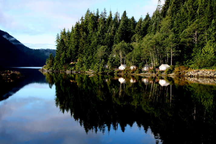 CLAYOQUOT 1