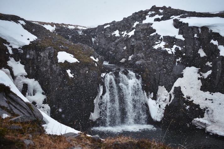 Deplar Farm Iceland Review