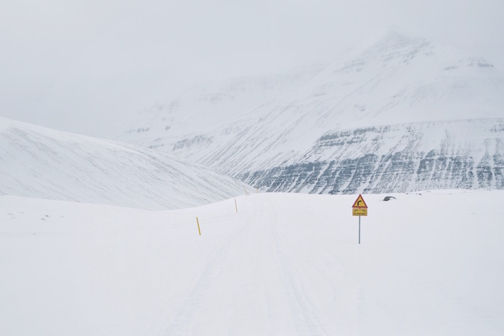 Deplar Farm Iceland Review