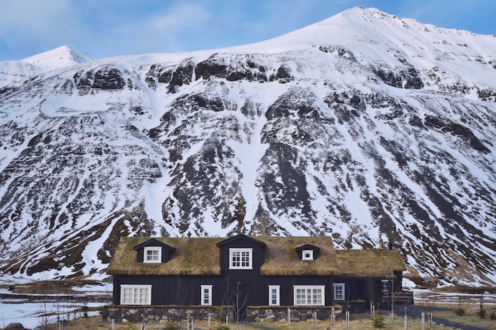 Deplar Farm Iceland Review
