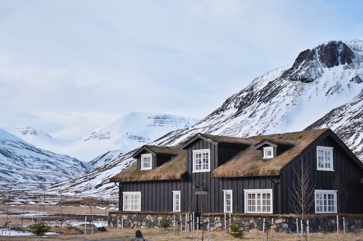 Deplar Farm Iceland Review
