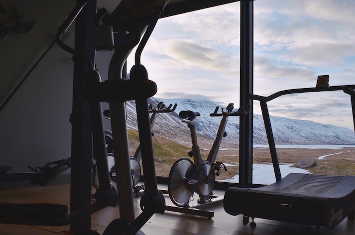 Deplar Farm Iceland Review