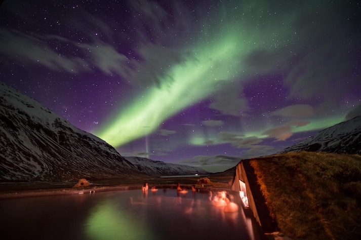 Deplar Farm Iceland Review