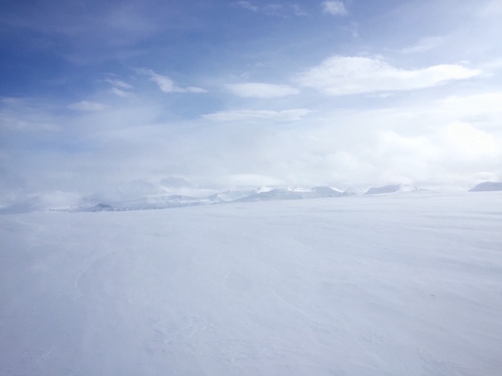 Deplar Farm Iceland Review