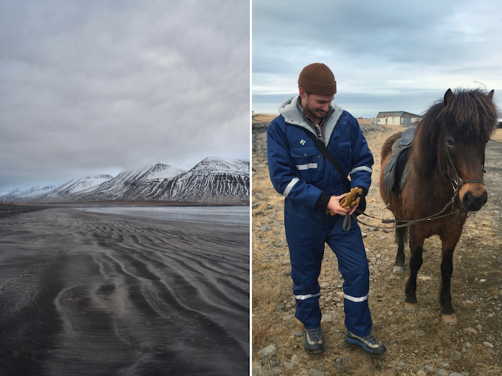 Deplar Farm Iceland Review