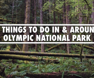 Things to do Olympic National Park