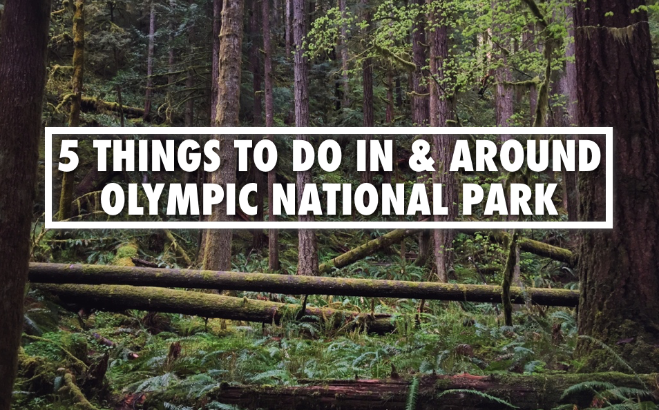 Things to do Olympic National Park