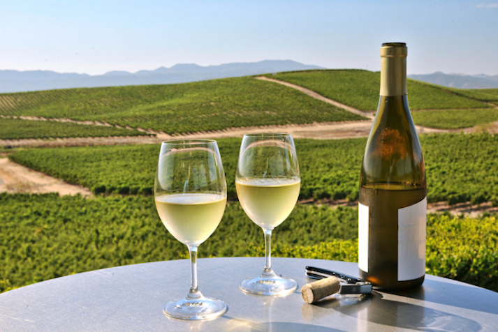 Napa Valley Vineyard Guide